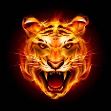 Head of a tiger in flame