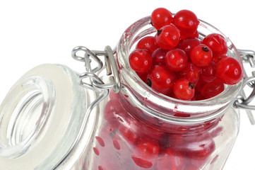 Le bocal de groseilles rouges