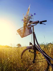 Foto auf Acrylglas Sommer Fahrrad in Landschaft