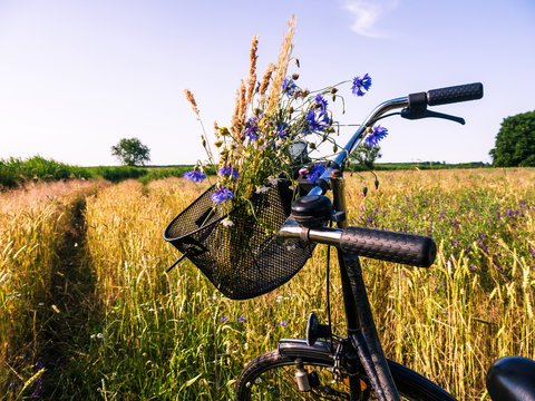 bicycle in landscape