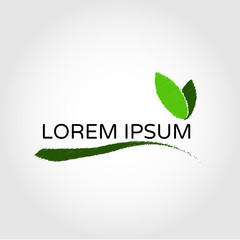 Branch with olive leaves