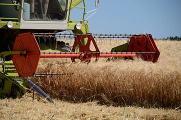 Fototapeta premium Getreideernte