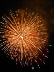 長良川全国花火大会