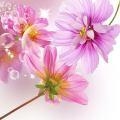 Beautiful flower background