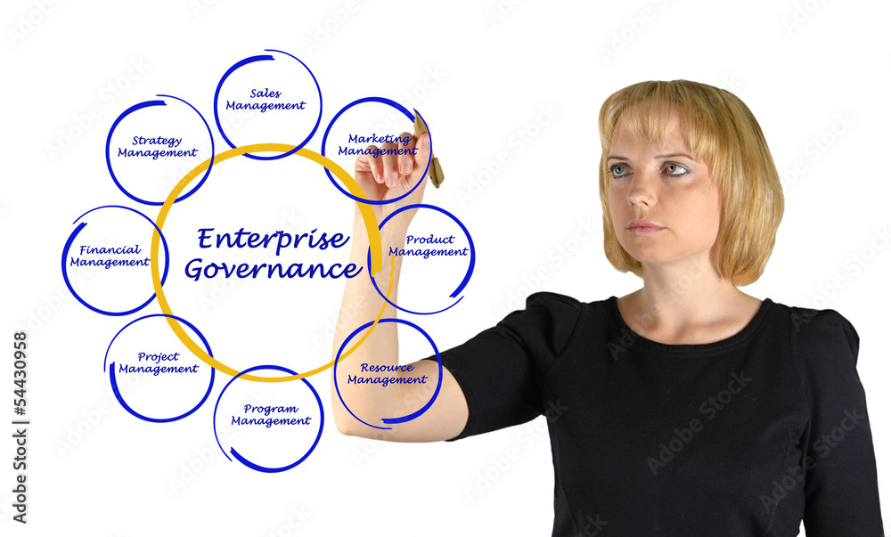 Poster enterprise governance