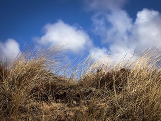 Fototapeta na wymiar nordseegefühl