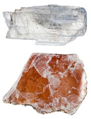 specimens of Muscovite mica