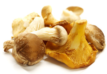 chantarelles on a white background with shadow