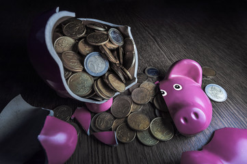 pig