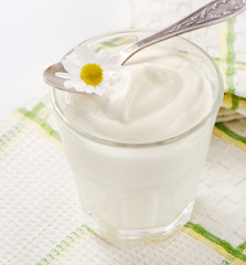 Fresh yogurt