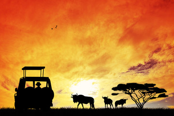 Jeep safari at sunset © adrenalinapura