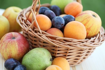 Basket filled with apples, pears, apricots and plums.