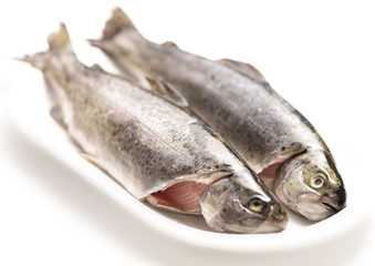 raw trouts on a plate ready to cook