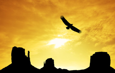 aigle à Monument Valley