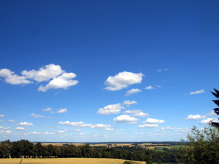 Fototapeta na wymiar View the fields before harvest and blue sky