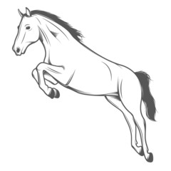 Jumping horse isolated on white background