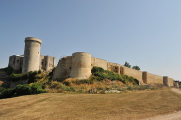 Fototapeta na wymiar Château Falaise, vue générale