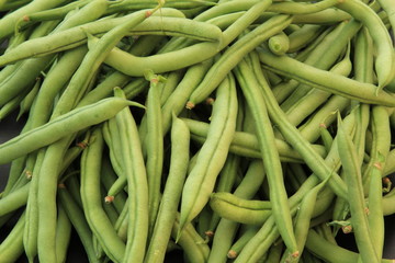 fagiolina