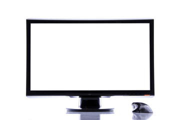 Display monitor