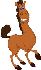 funny horse cartoon