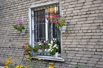 Fototapeta na wymiar pots of flowers set on home screen