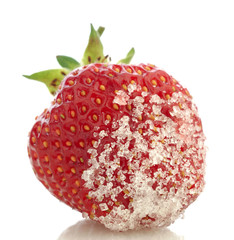 fresh strawberry on white background