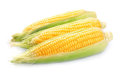 Corn isolated