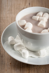 Cup of Hot Chocolate with marshmallows