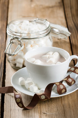 Cup of Hot Chocolate with marshmallows
