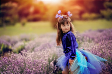 on the fragrant lavender walks beautiful girl in a smart dress