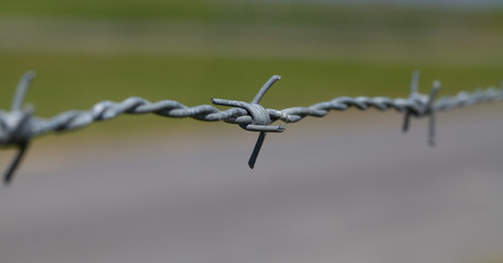 close-up of barbed wire