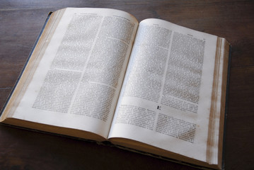 Obraz premium open dictionary on letter E