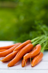Karottenbund mit grün