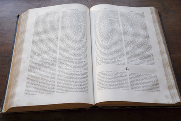 Obraz premium open dictionary on letter G