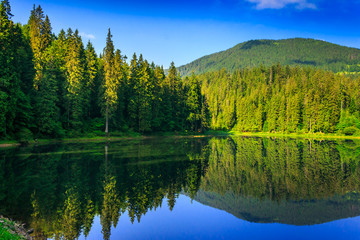 Fototapeta premium freshness near forest lake in mountains. beautiful summer scenery of synevyr national park