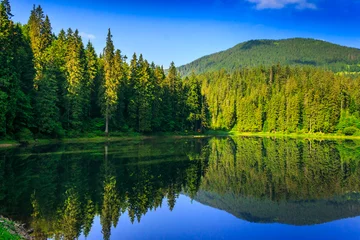 Crédence en verre imprimé Lac / étang fraîcheur près du lac forestier dans les montagnes. beaux paysages d& 39 été du parc national de synevyr