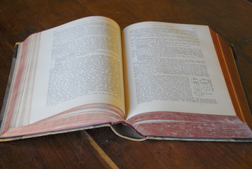 Obraz premium classic book