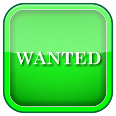 Green square shiny icon