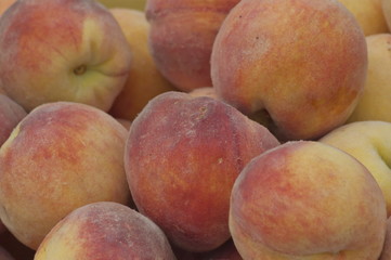 Collection of fresh peach fruits