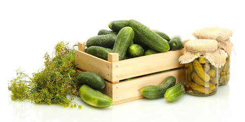 fresh cucumbers in wooden box, pickles and dill isolated