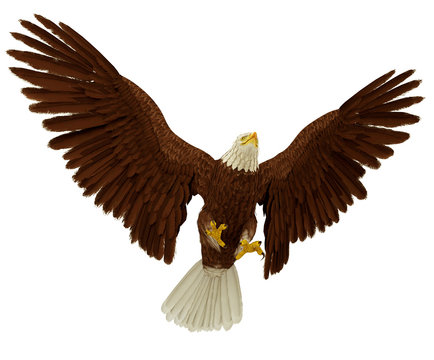 wide eagle landing