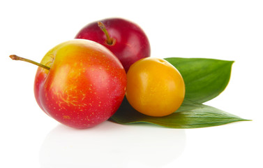 Ripe plums isolated on white