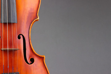 Classical violin on grey background - obrazy, fototapety, plakaty