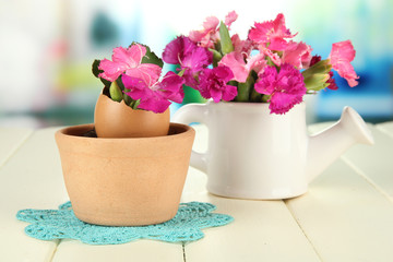 Flowers growing from egg shell, on bright background