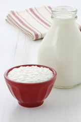 Delicious healthy milk and cottage cheese