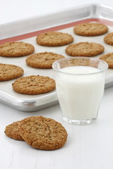 Fresh baked oatmeal cookies