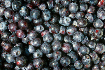 Many blueberries