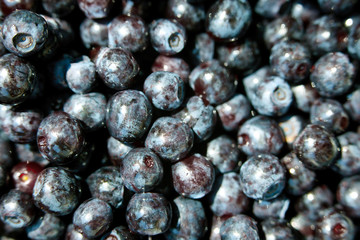 Many blueberries