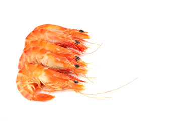 Shrimp isolated in white background