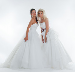 Fototapeta na wymiar Image of alluring stylish brides posing in studio